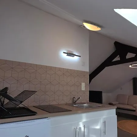 아파트 Lila Centre-ville T2 Renove Cocon Cosy Parking 45m2